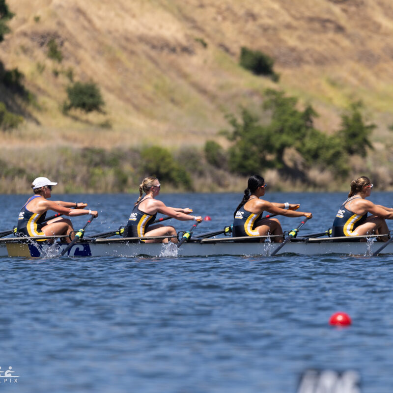 54493662913 a0a5bfb1c6 o