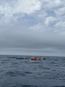 f6aeaf02c90091e9bcb065671a2988b3