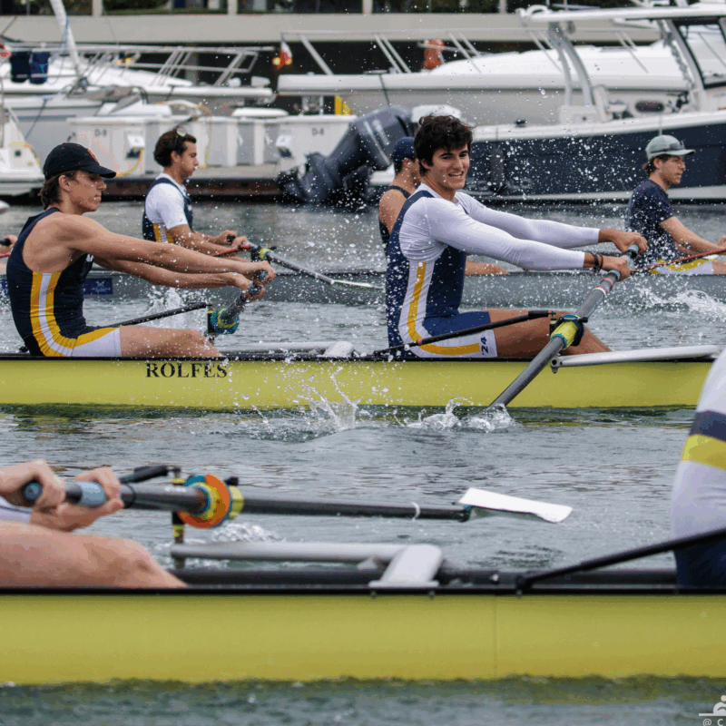 Header alumni row