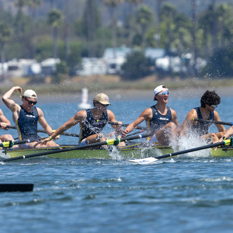 55178323649 374d4b684f o