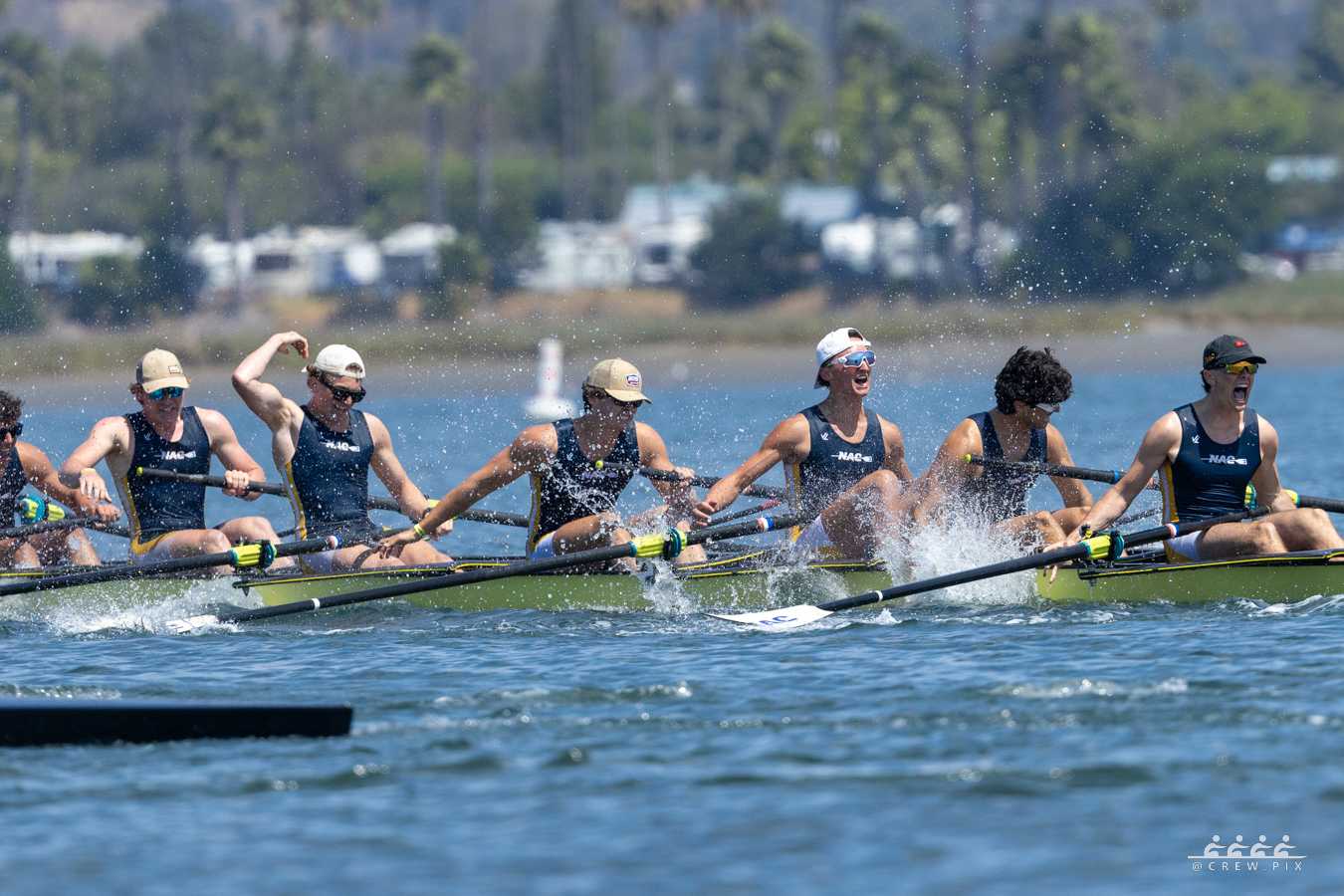 55178323649 374d4b684f o