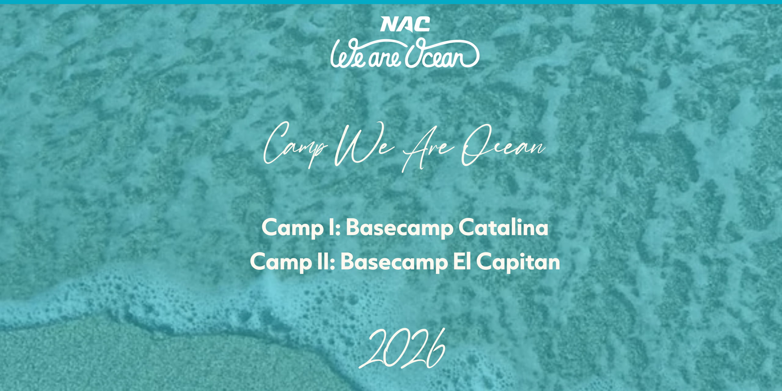 WAO Oct 2026 (Medium Banner (US) (Landscape))